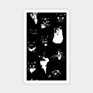 Large Black and White Cats Magnet