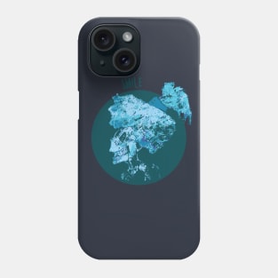 skull smile Phone Case