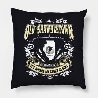 Old Shawneetown Ill Inois It Is Where My Story Begin 70s Pillow