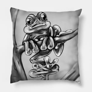 Frog Pillow