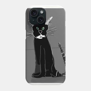 The grumpy old cat Phone Case