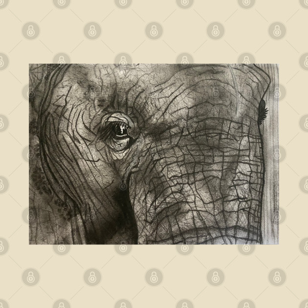 Elephant Sketch by Wolf Cove Creations