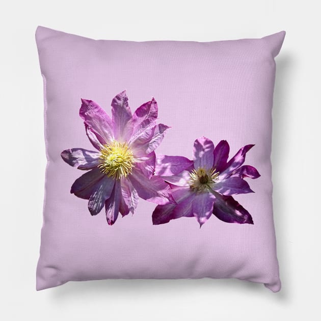 Two Pink Clematis Pillow by SusanSavad