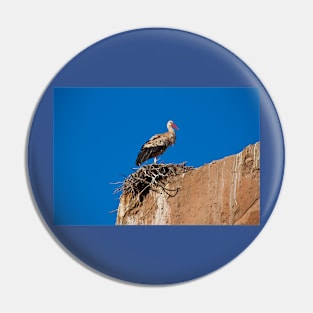 Morocco. Marrakech. Stork on the old wall of Medina. Pin