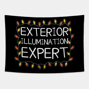 Exterior Illumination Expert Funny Christmas Lights Tapestry