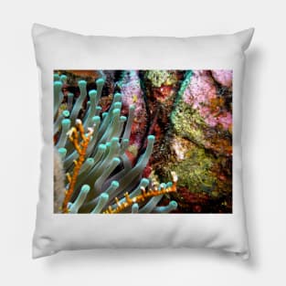 Sea Anemone and Coral Wall Pillow