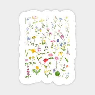 botanical colorful countryside wildflowers watercolor painting Magnet
