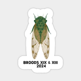 Cicada Insect Great Eastern Broods XIX & XIII USA 2024 Magnet