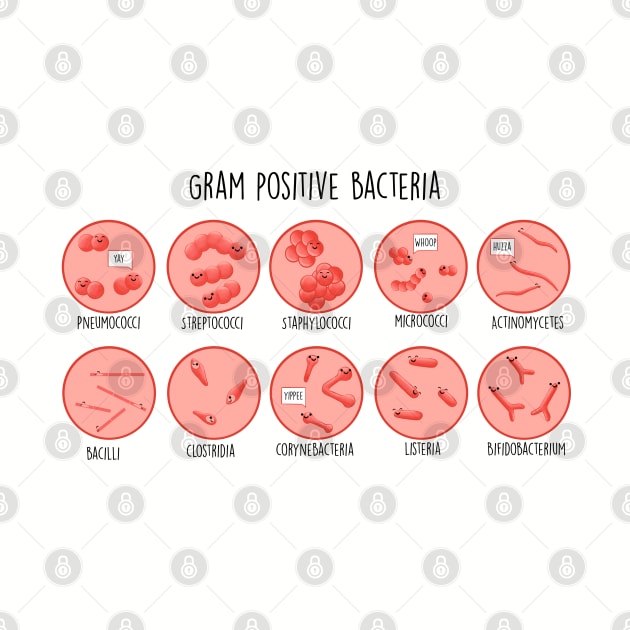 Gram Positive Bacteria by MorvernDesigns