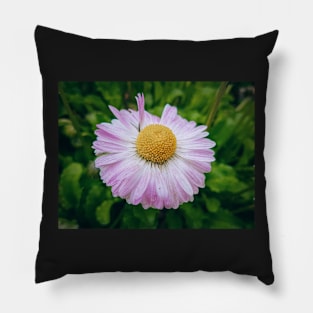 Summer flower Pillow