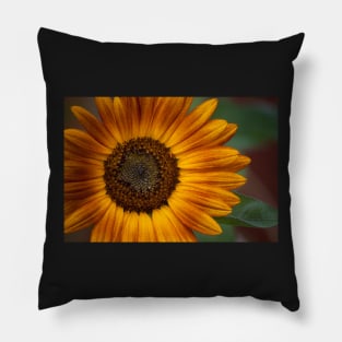 Sunflower Series XVIII Pillow