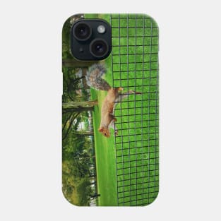 Red Squirrel Phone Case