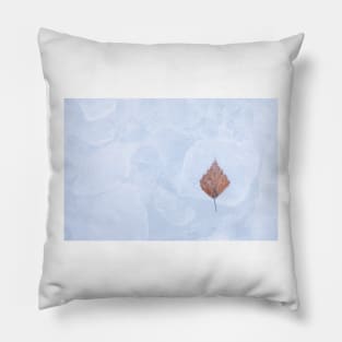 One birch tree leaf frozen on ice Pillow