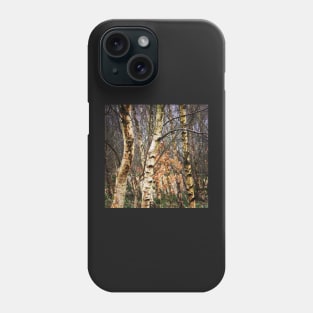 Birch trees Phone Case