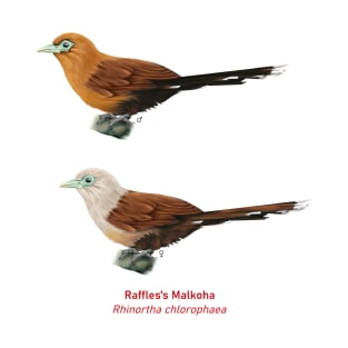 Raffles's Malkoha | Rhinortha chlorophaea ⚥ T-Shirt