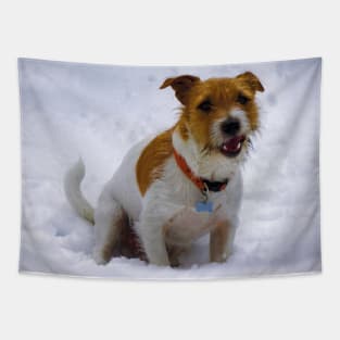 Jack russell terrier Tapestry