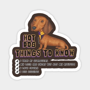 Cute Adorable Doxie Red Dachshund with kerchief hot dog Magnet