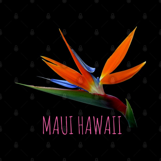 Bird of paradise tropical flower Maui Hawaii by Coreoceanart