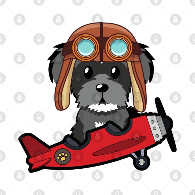 Cute schnauzer is in a vintage plane by Pet Station