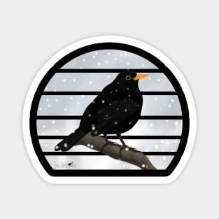 Blackbird Winter Snow Bird Watching Birding Ornithologist Gift Magnet