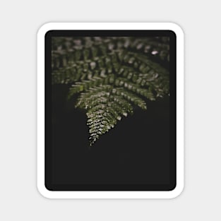 Fern in the Rain Magnet