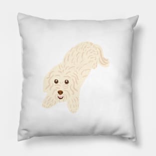 Cute Maltipoo Pillow