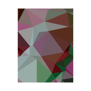 Abstract Polygon Illustration Design 31 T-Shirt