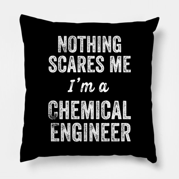 Nothing Scares Me I'm A Chemical Engineer ChemE Major Exam Gift Pillow by HuntTreasures