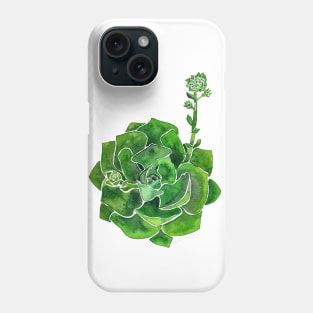 Watercolor Succulent Phone Case