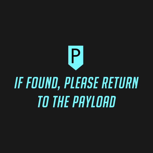 Please Return To the Payload by Kiaxet