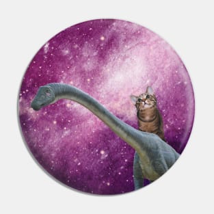 A cat exploring universe on his dinosaur! Pin