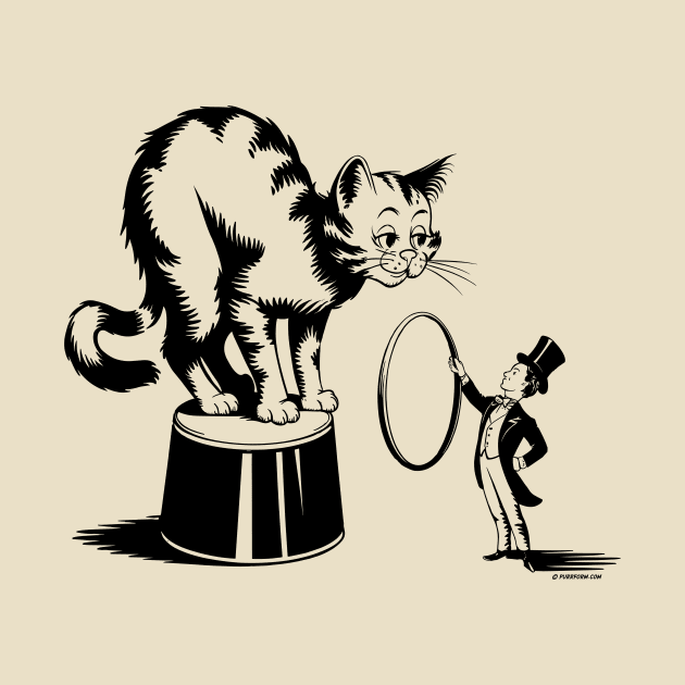 Circus Cat by Purrform