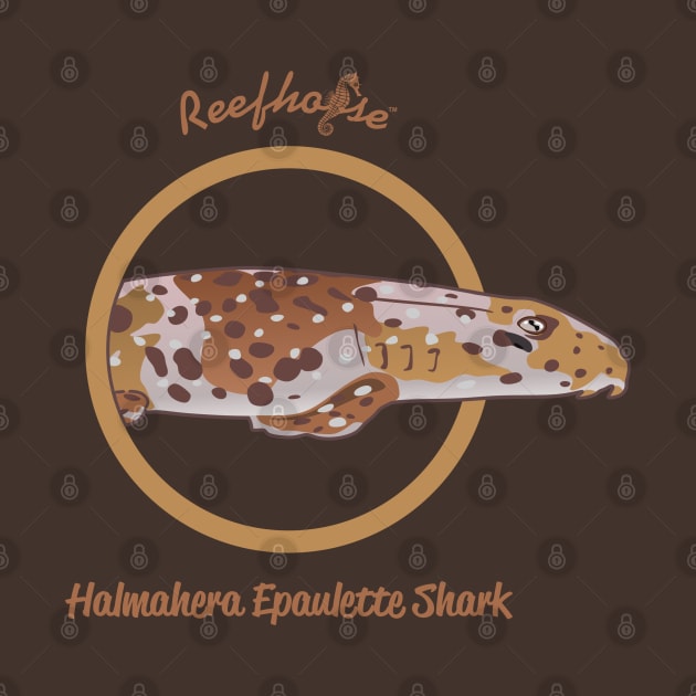 Halmahera Epaulette Shark by Reefhorse