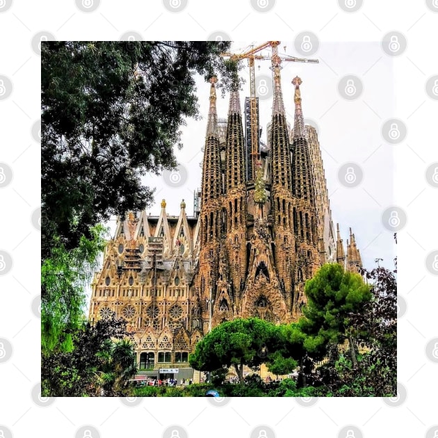 Barcelona's Sagrada Familia Basilica by Debbie-D-Pics