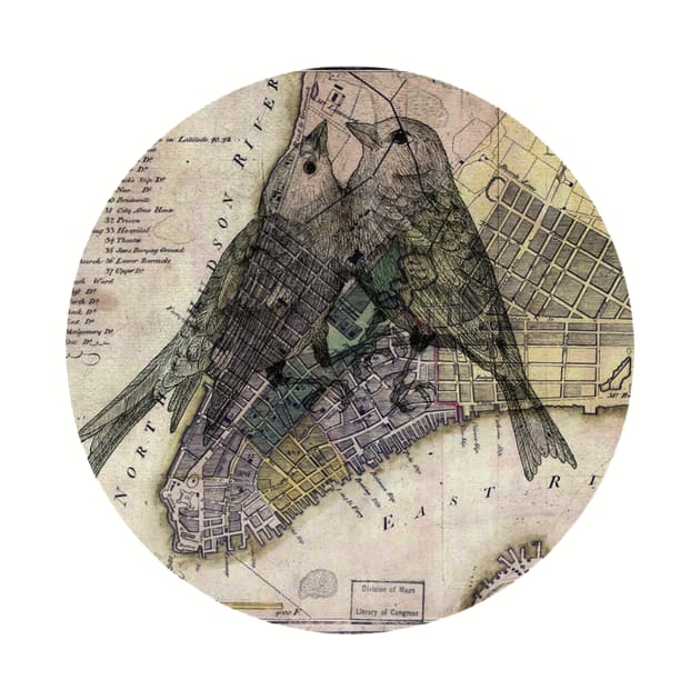 New York City Birds Map by karenina