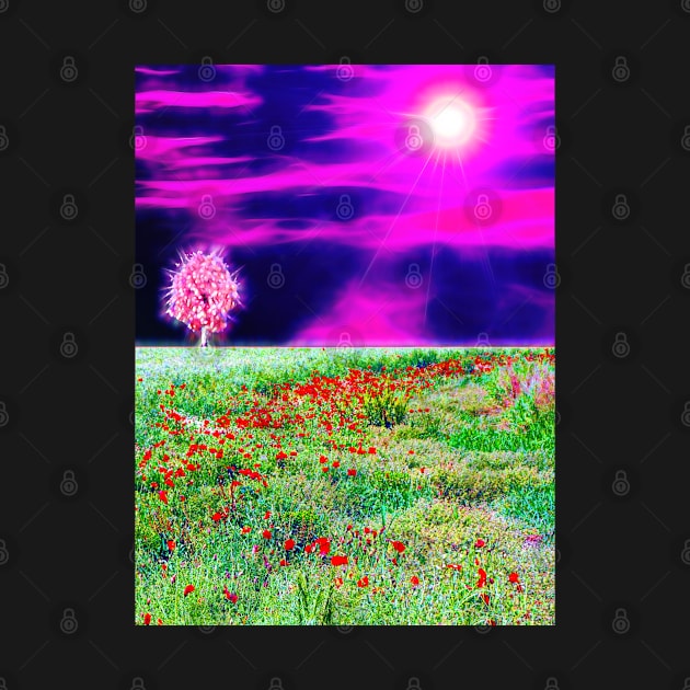 Poppy Field by danieljanda