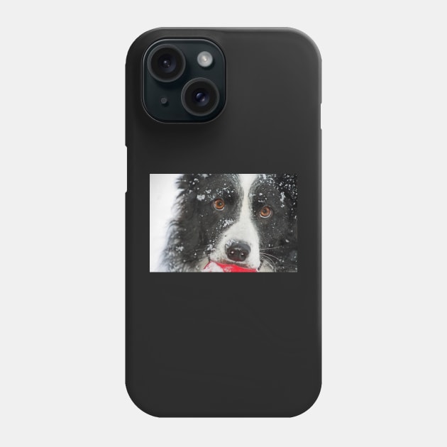 Would you like to play in the snow? Phone Case by Furtographic
