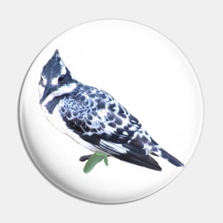 Pied Kingfisher - Bird - Africa - Kenya Pin