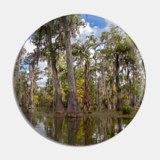 Cypress Trees and Reflections in the Bayou Swamp Pin