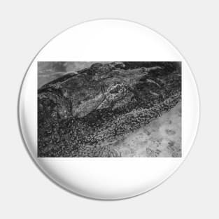 Relaxing Alligator black and white 3 Pin