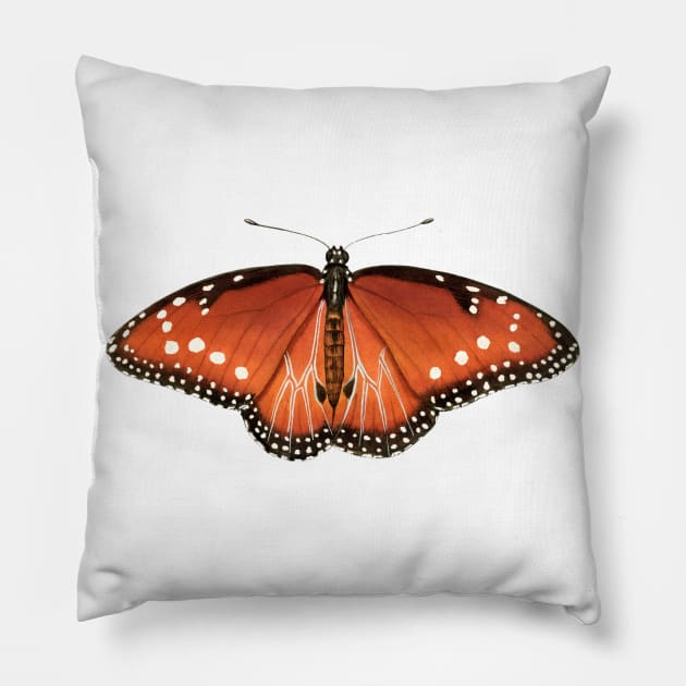 Queen Pillow by JadaFitch