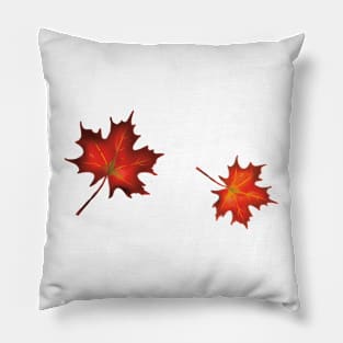 First Day Of Autumn Pillow