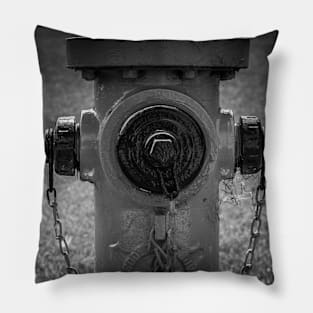 Eddy Valve in Black and White Pillow