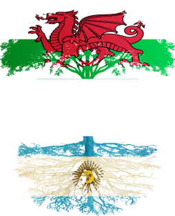 Welsh Grown With Argentinian Roots - Gift for Argentinian With Roots From Argentina Magnet