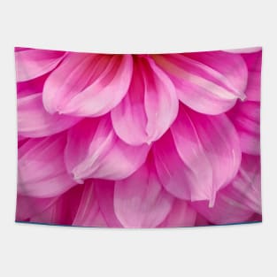 Hot Pink Dahlia Close Up Flower Tapestry