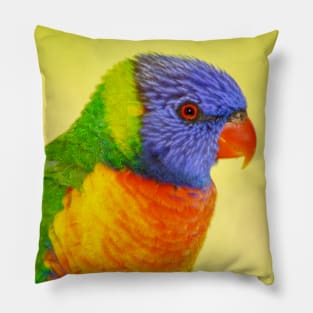 Rainbow Lorikeet Pillow