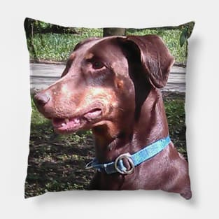 Doberman pinscher red Pillow