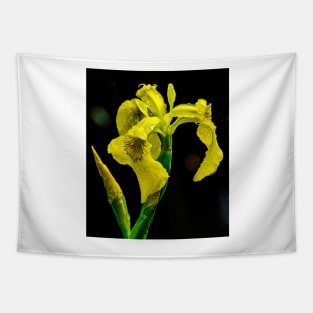 Yellow Swamp Iris Tapestry