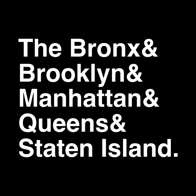 NYC New York City Boroughs by FLARE US