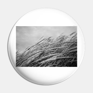 Black and white grasses. Pin